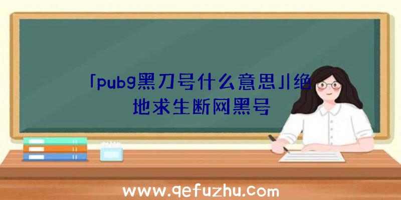 「pubg黑刀号什么意思」|绝地求生断网黑号